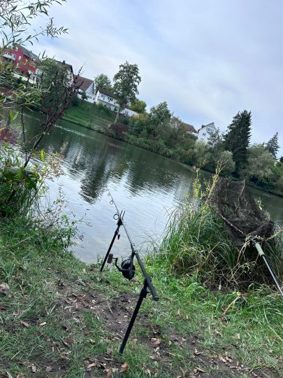 Regnitzsee (Altwasser Burk)-3