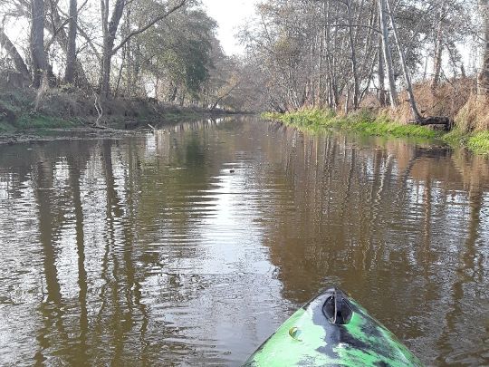 Kleiner Havelländischer Hauptkanal-0