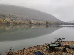 See Wedigenstein-0