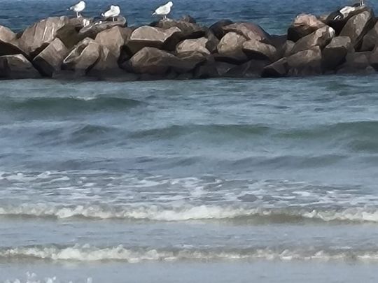 Kaltes Wasser (Sennfeld)