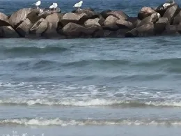 Kaltes Wasser (Sennfeld)