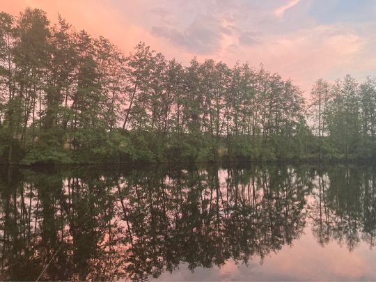 Langenbacher Weiher (Langenbach bei Kirburg)-0