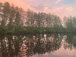 Langenbacher Weiher (Langenbach bei Kirburg)-0