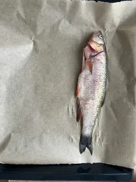 Langenbacher Weiher (Langenbach bei Kirburg)