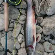 Schwarza (Bad Blankenburg)