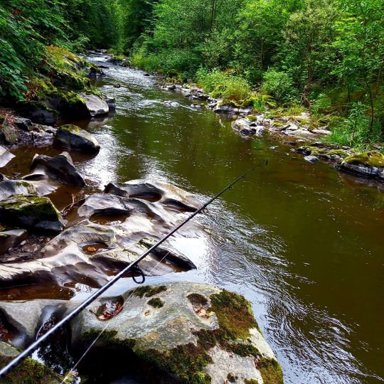 Schwarza (Bad Blankenburg)-3