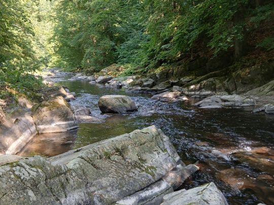 Schwarza (Bad Blankenburg)-2