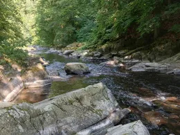 Schwarza (Bad Blankenburg)-2