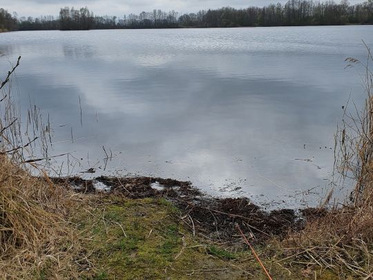 Rüter See-2