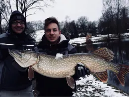 Angelcamp Leitingshof-2