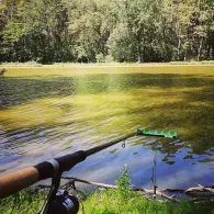 Dechsendorfer Weiher-1