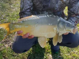 Dechsendorfer Weiher