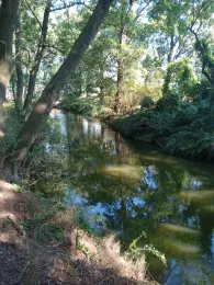 Große Röder (Kalkreuth)-2