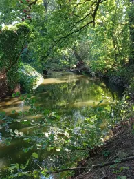 Große Röder (Kalkreuth)-1