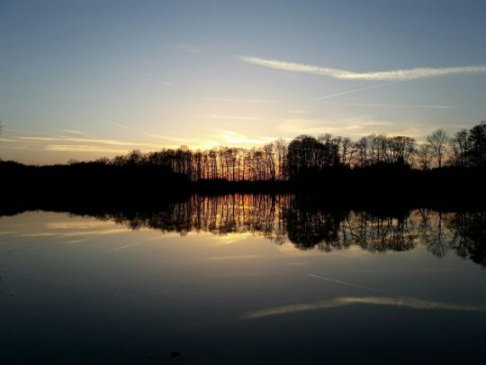 Schindelweiher (Hirschau)-0