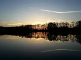 Schindelweiher (Hirschau)-0