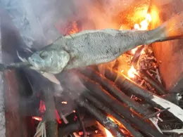 Kiesgrube Besseringen-Schwemlingen-1