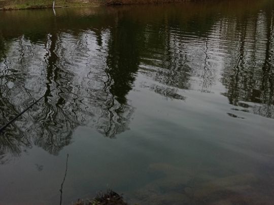 Alte Fahrt (Castrop-Rauxel)-2