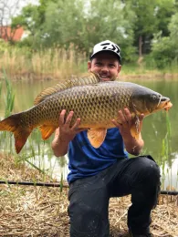 Schwanenweiher (Schifferstadt)