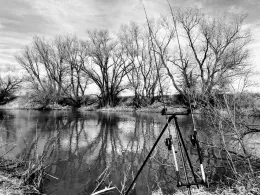 Regnitz (Pettstadt)-1