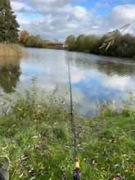 Groote Rietplas (Parc Sandur)-3