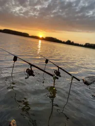 Groote Rietplas (Parc Sandur)-4