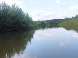 Groote Rietplas (Parc Sandur)-4