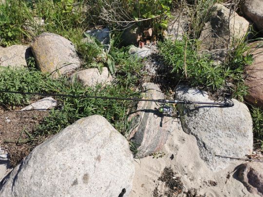 Kieler Förde (Kitzeberg)-3