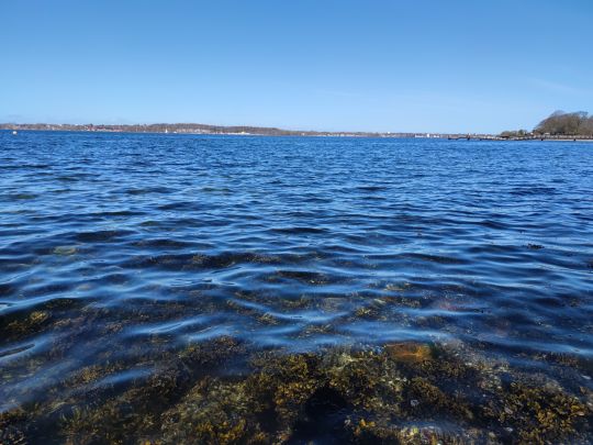 Kieler Förde (Kitzeberg)-4