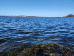 Kieler Förde (Kitzeberg)-4