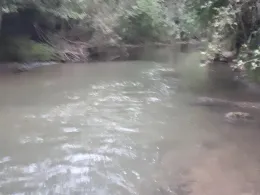 Seefelder Aach (Uhldingen)