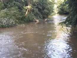 Seefelder Aach (Uhldingen)-1