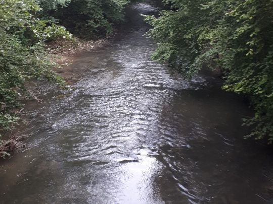 Seefelder Aach (Uhldingen)-2