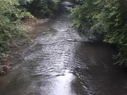 Seefelder Aach (Uhldingen)-2