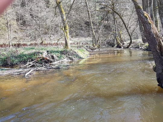 Höllbach (Wiesent)-1