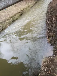 Fuhsekanal (Celle)-3