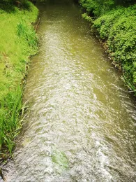 Fuhsekanal (Celle)-2