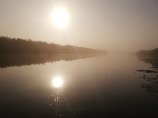 Trebel (Nehringen)-2