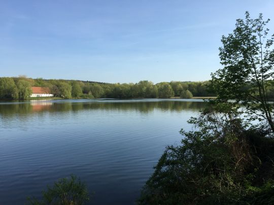 Teutoburger Waldsee angeln