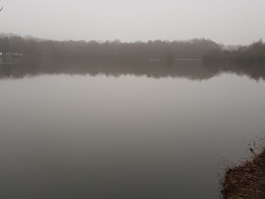 Teutoburger Waldsee-2