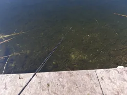 Grabowsee (Marienwerder)-2