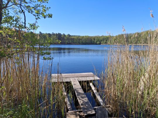 Grabowsee (Marienwerder)-1