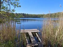 Grabowsee (Marienwerder)-1