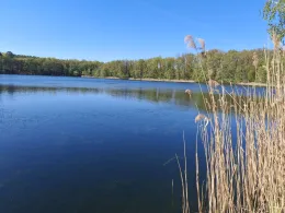 Grabowsee (Marienwerder)-4