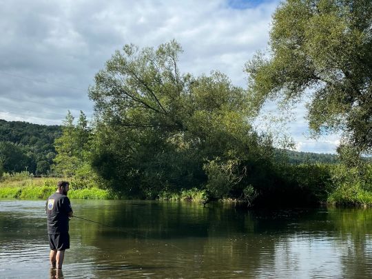 Main (Michelau i.OFr.)-2