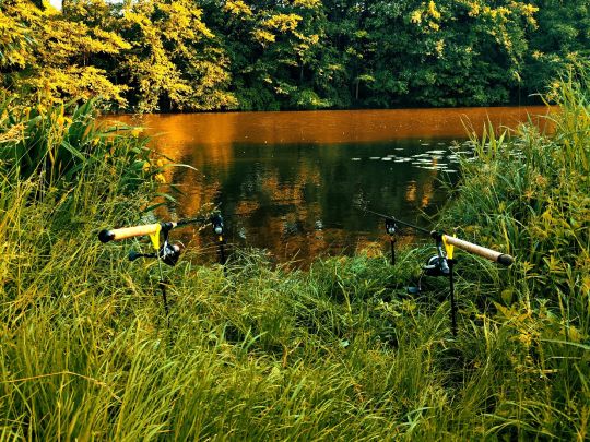 Main (Michelau i.OFr.)-1