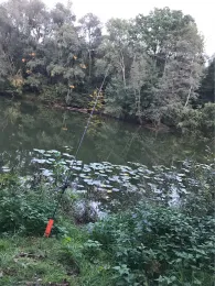 Alte Lahn (Lollar)-1