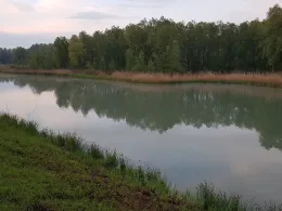 Pfaffenhofener Altwasser-1