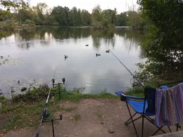 Unterer Aueweiher (Fulda)-1