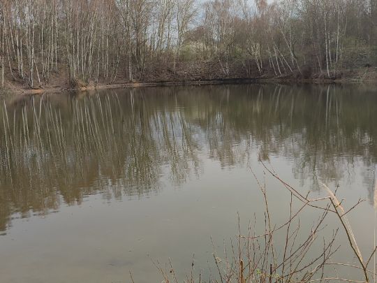 Ziegeleiteiche Klingewalde-1